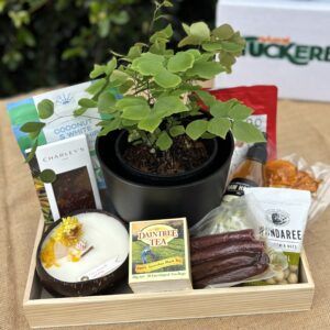 Tropical Sensory Gift